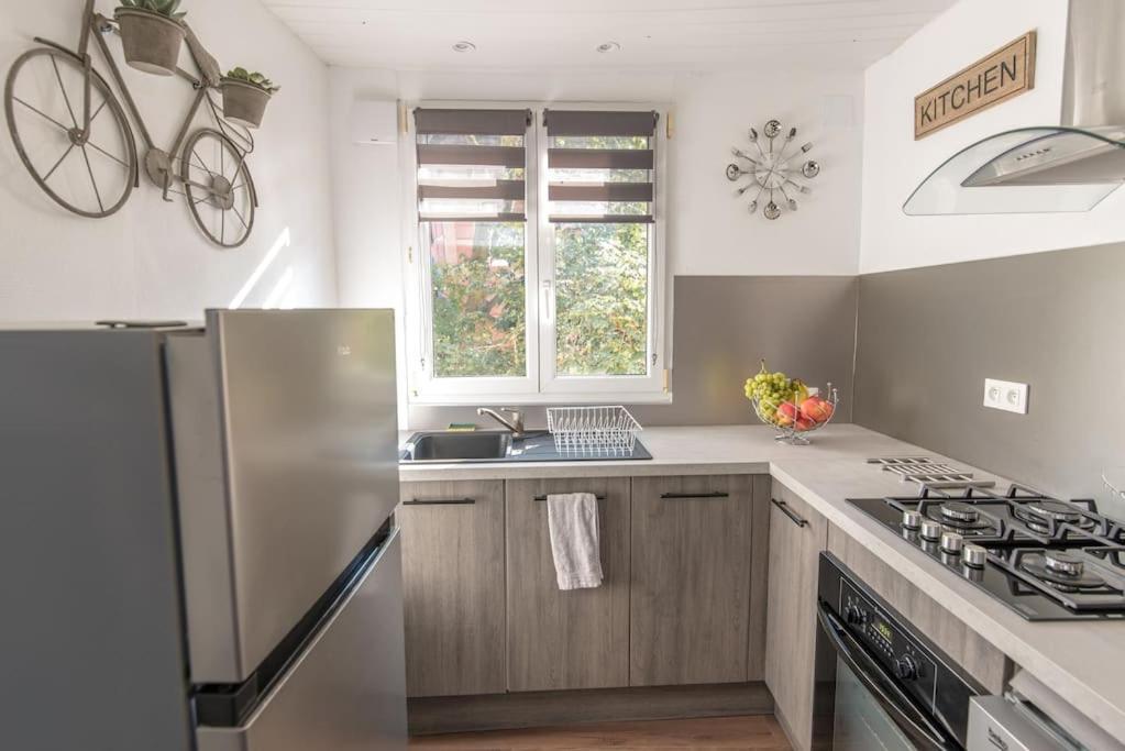 New L'Industr'Ill Au Coeur De L'Alsace Apartment Selestat Luaran gambar
