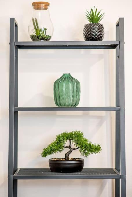 New L'Industr'Ill Au Coeur De L'Alsace Apartment Selestat Luaran gambar