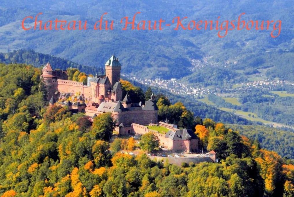 New L'Industr'Ill Au Coeur De L'Alsace Apartment Selestat Luaran gambar